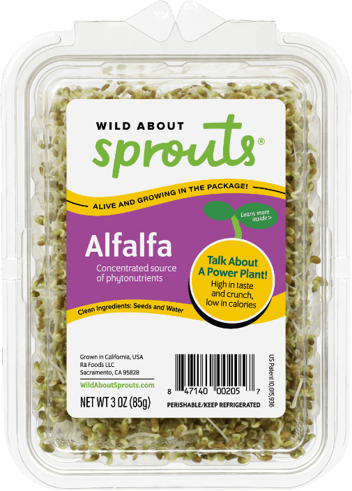 Alfalfa