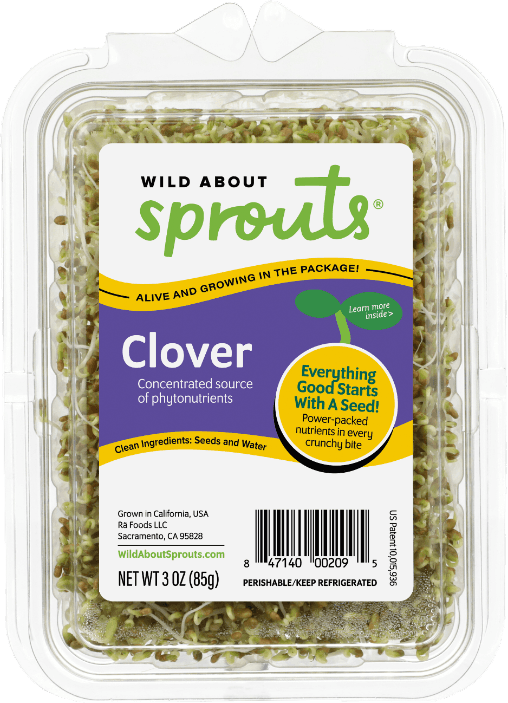 Clover