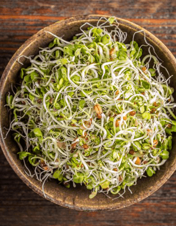 10 Amazing Health Benefits Of Consuming Broccoli Sprouts